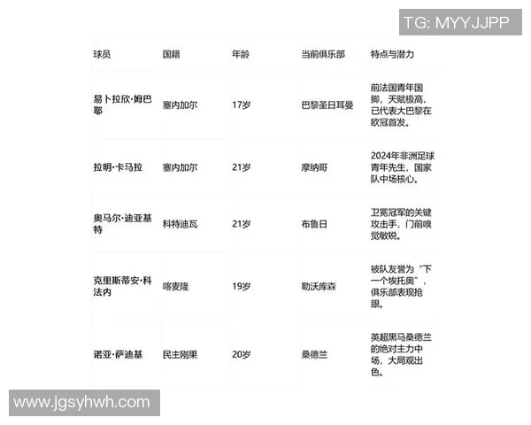 非洲足球明星现役球员全名单及其精彩表现分析